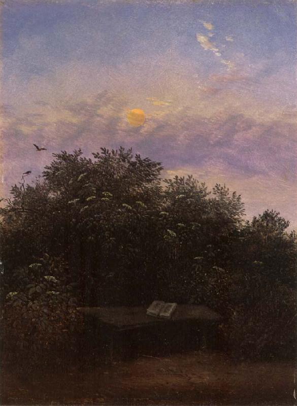 Carl Gustav Carus Blooming Elderberry Hedge in the Moonlight France oil painting art
